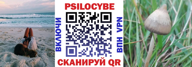 Псилоцибиновые грибы GOLDEN TEACHER купить наркоту Новочебоксарск