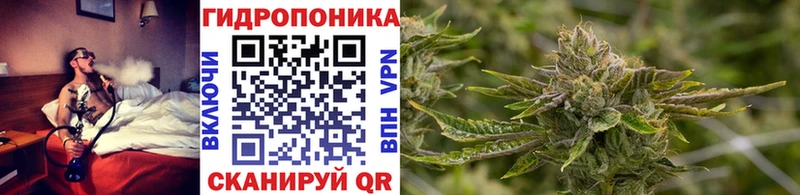 Конопля конопля  гидра вход  Новочебоксарск 